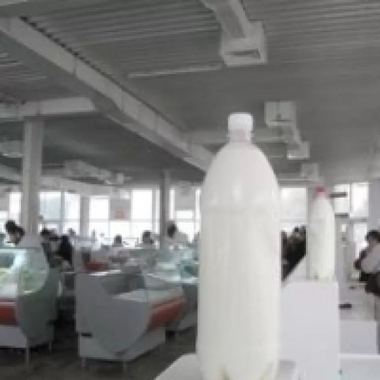 Fermierii doljeni risca sa piarda cota de lapte