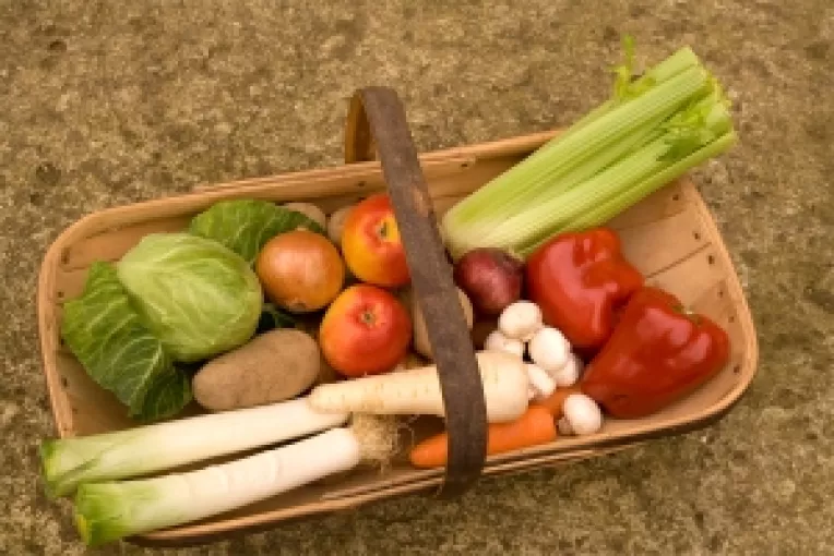 Geoana: Promisiunea cu 25.000 de euro pentru romanii care revin in tara a devenit realitate