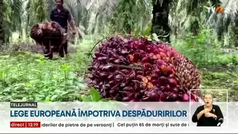 Lege europeana impotriva despaduririlor