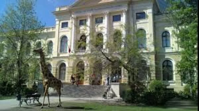 Muzeul National de Istorie Naturala va invita sa participati la conferinta Eticheta Regala