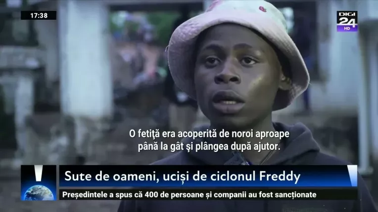 Planeta esti tu. Cum pot fi salvate albinele de la disparitie