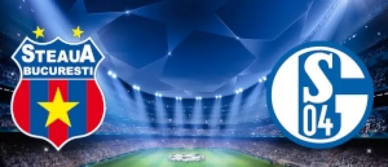 Premierul Victor Ponta i-a invitat la Arena Nationala pe prim-ministrii veniti la Bucuresti, la meciul Steaua si Schalke 04