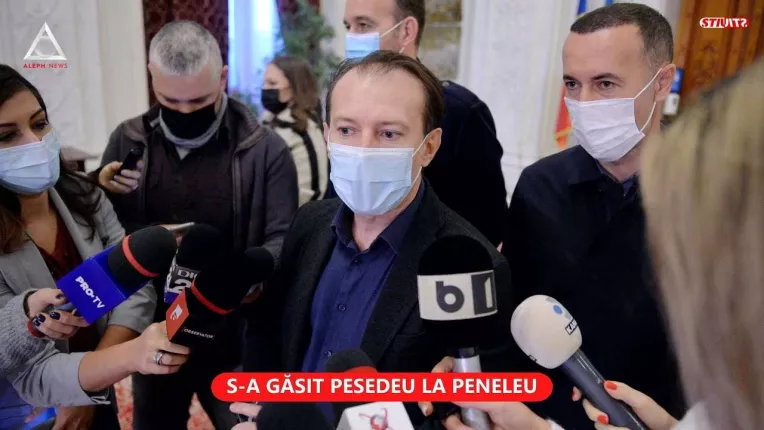 PSD si PNL au inceput sa lucreze la contractul prenuptial