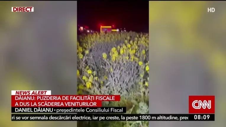 Un tanar a murit dupa ce masina sa a lovit un copac si a fost proiectata inapoi pe drum, in Prahova